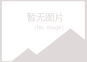 灵川县盼山保险有限公司